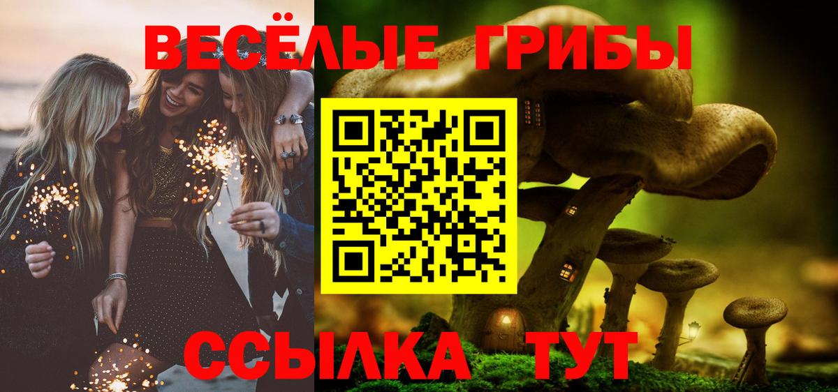 Галлюциногенные грибы прущие грибы  Галлюциногенные грибы ЛСД  Вход с VPN  Нижний Тагил 