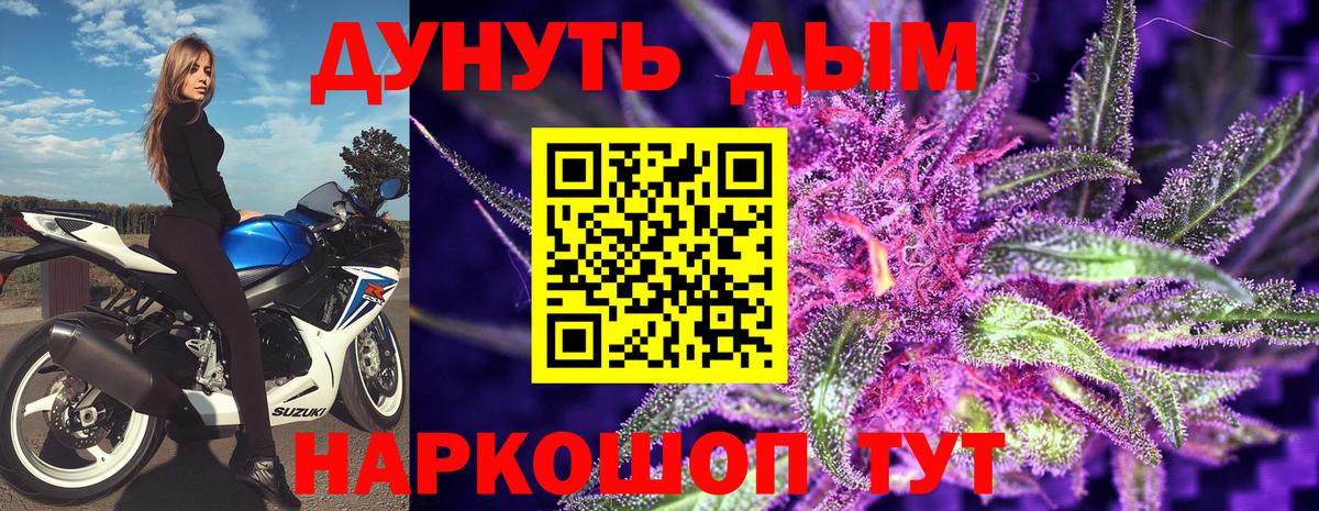 Бошки Шишки Amnesia  Конопля ГИДРОПОН  Нижний Тагил  Вход с VPN  Канабис Amnesia 